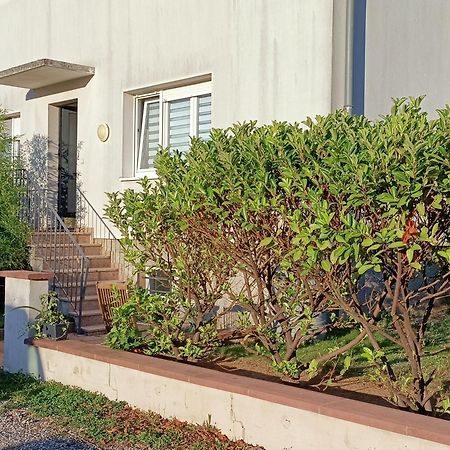 Strasbourg 3 Pieces Avec Jardin Apartment Brumath Exterior photo